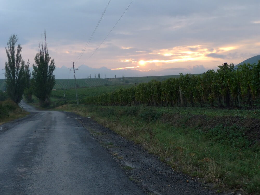 Straße von Tolcsva nach Erdöbenye