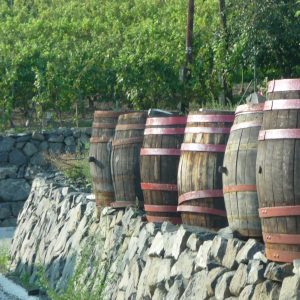 Zwischen Schafschwanz und Kapellen Wanderung auf den Vulkan zur Burg