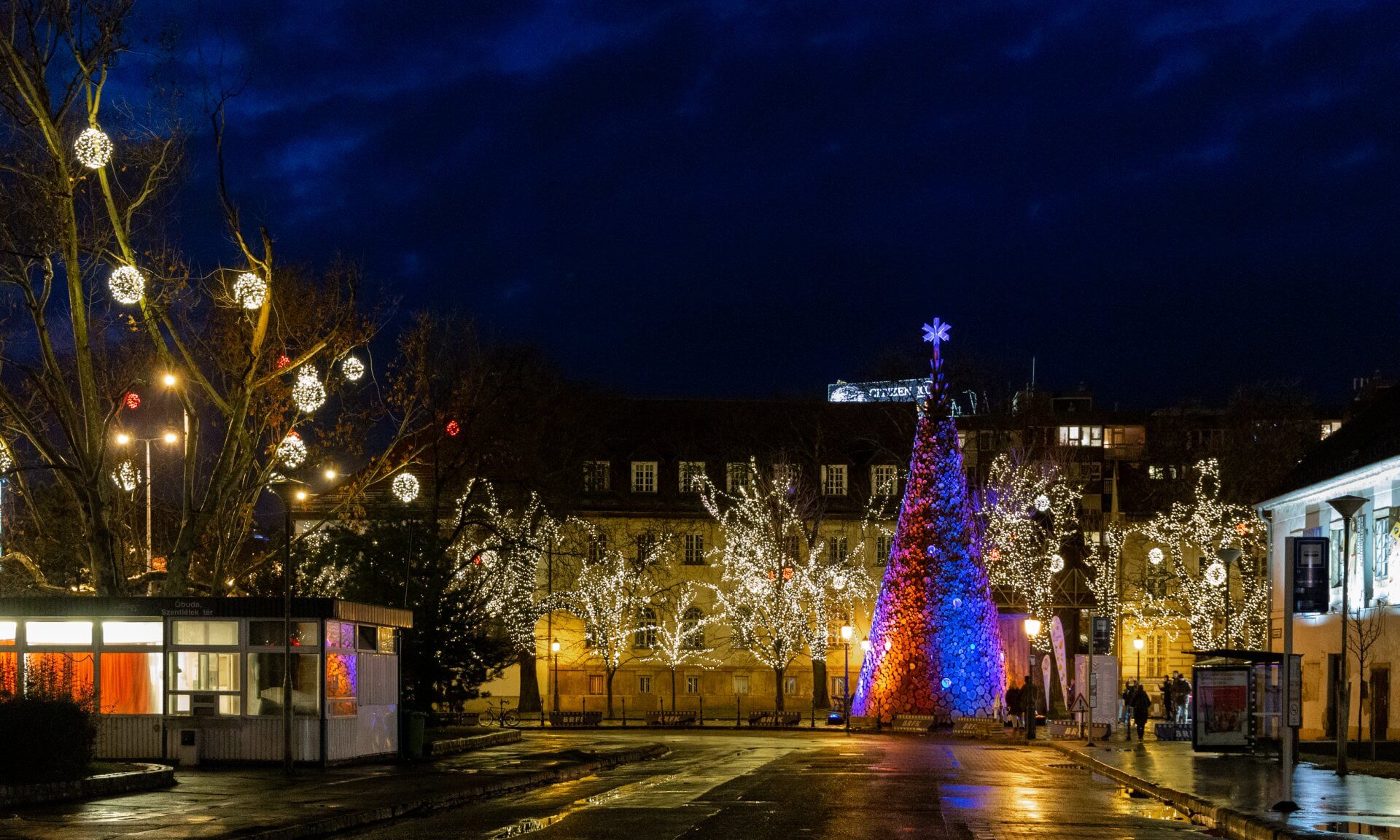 Advent in Óbuda, Wohlfahrtsbaum